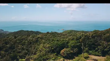 La Martinique : trésor de biodiversité