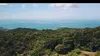 Outre-mers secrets Les mangroves, sentinelles de la Martinique