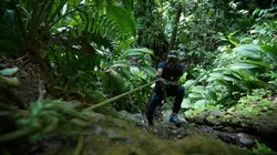 Outremer.story  Vivre avec la forêt