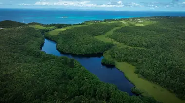 Vivre avec la forêt