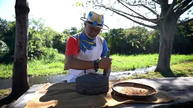 Découverte du littoral à La Réunion