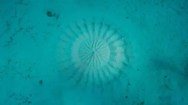 Un océan mystérieux