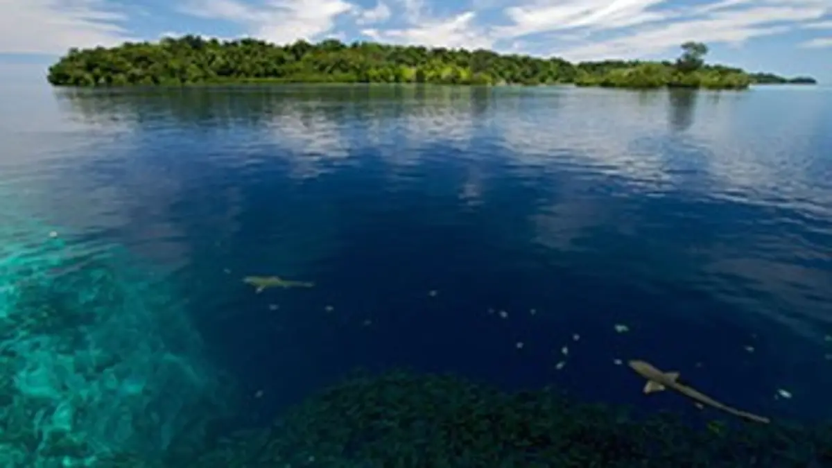 Pacifique sud S01E01 D'île en île
