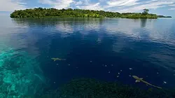 Visuel de Pacifique sud