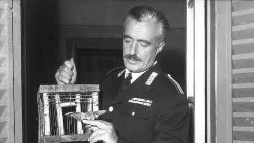 Pain, amour et fantaisie