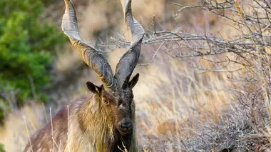 Les hauts sommets du Nord