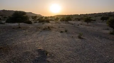 Le désert de Tharparkar