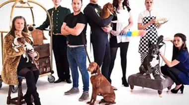 La patte sur le coeur