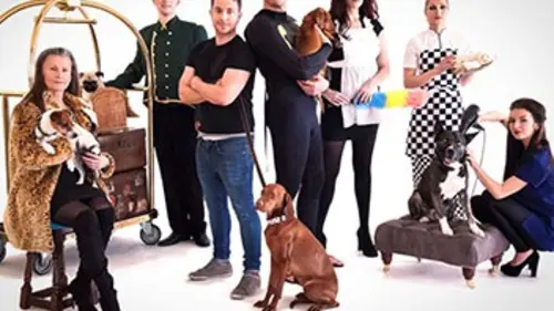 Palace pour chiens E04 Sans famille