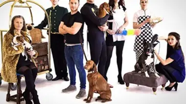 Palaces pour chiens E05
