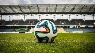 Palmeiras / Flamengo Football Copa Libertadores 2021