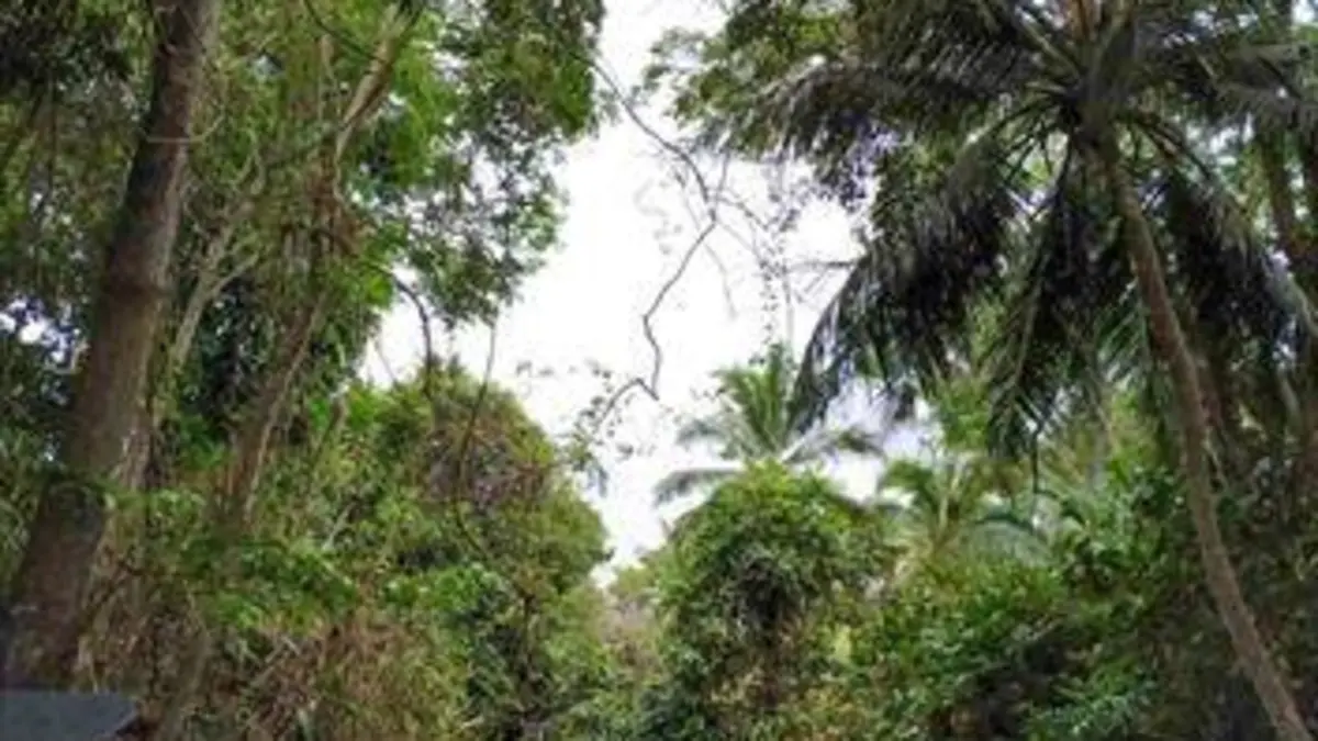 Panamá : à la rencontre d’une nouvelle génération de femmes indiennes