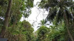 Visuel de Panamá : à la rencontre d’une nouvelle génération de femmes indiennes