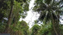 Visuel de Panama, à la rencontre d'une nouvelle génération de femmes indiennes