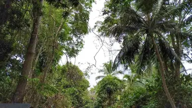 Panama, à la rencontre d'une nouvelle génération de femmes indiennes