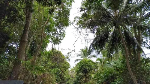 Panama, à la rencontre d'une nouvelle génération de femmes indiennes
