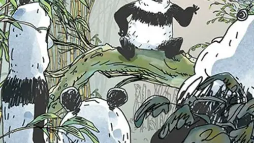 Pandas dans la brume Dodo