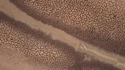 Panser le Monde d'après