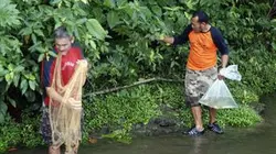 Visuel de Papouasie, enfer et contre tout