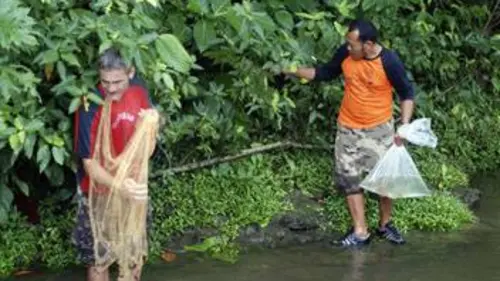 Papouasie, enfer et contre tout