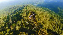 Visuel de Papouasie-Nouvelle-Guinée : Jim & Jean au secours du kangourou arboricole