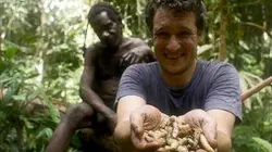 Visuel de Papouasie occidentale : mon année chez les Korowai