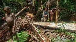 Visuel de Papouasie occidentale : mon année chez les Korowai