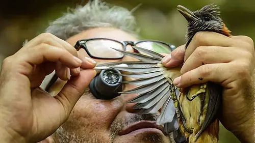 Papouasie, un dernier eden S01E00 Le monde terrestre