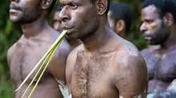 Visuel de Papous, entre deux mondes