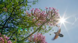 Par-delà les Alpes S01E02 Le lac de Garde