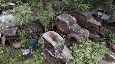 Paradis de rouille Les belles voitures au bois dormant