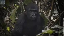 Paradis naturels retrouvés