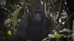 Paradis naturels retrouvés