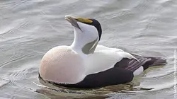 Paradis naturels retrouvés