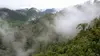 Equateur, la forêt de nuages