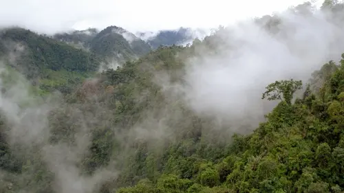 Paradis naturels retrouvés Equateur, la forêt de nuages