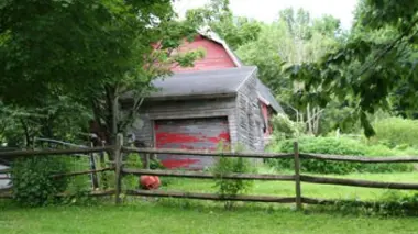 Terreur à la ferme de Maple Dale