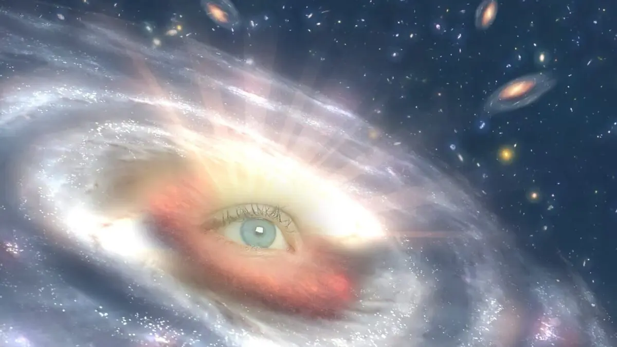 Audiences TV : Paranormal Collector