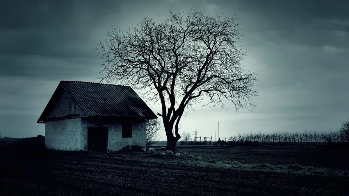 Paranormal Collector Bare Bones/Octagon Haunting