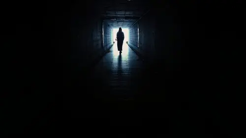 Paranormal Collector Harceleur de ferme