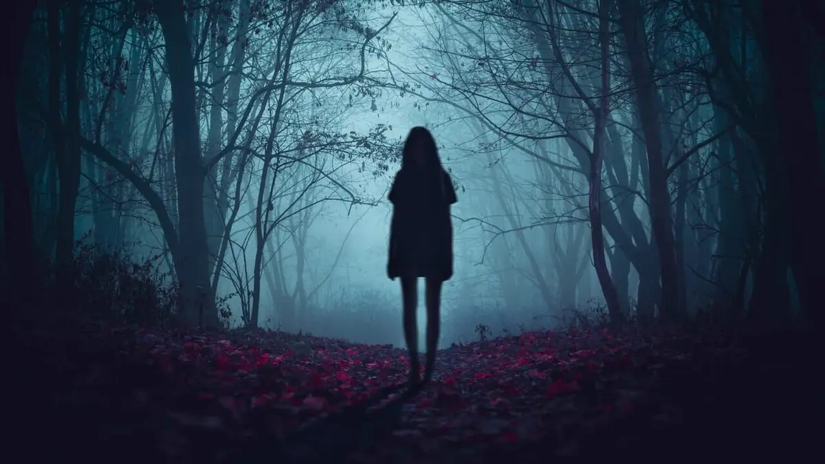 Paranormal Collector Tempête de fantômes