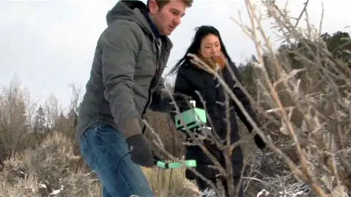 Paranormal files: Info ou intox S01E06 Le gardien du cimetière / Mutilations