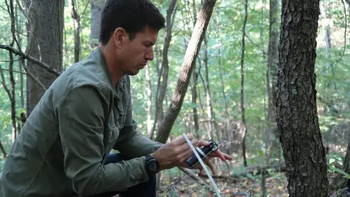 Paranormal : les dossiers déclassifés Sur les traces du Bigfoot