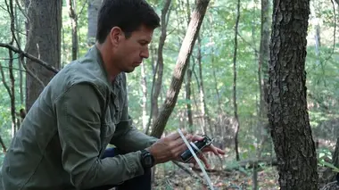 Paranormal : les dossiers déclassifés Sur les traces du Bigfoot