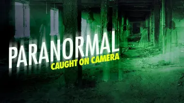 Le Skunk ape de Louisiane