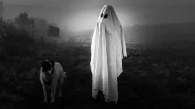 Paranormal Videos