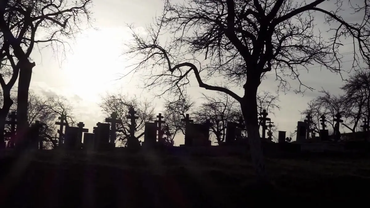 Visuel de Paranormal Videos