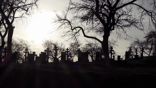Paranormal Videos