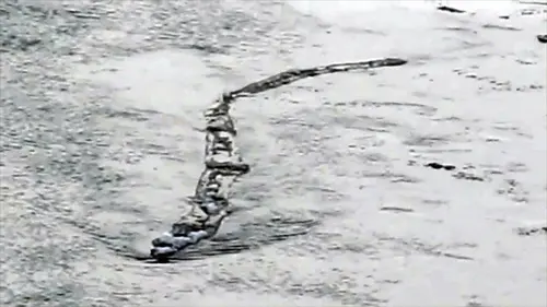 Paranormal Videos S01E04 Les fantômes de Gettysburg