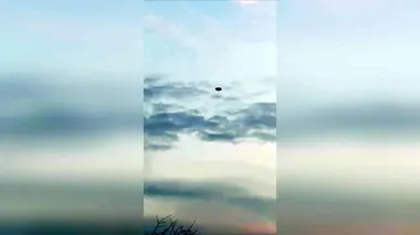Le chien et la corbeille hantée